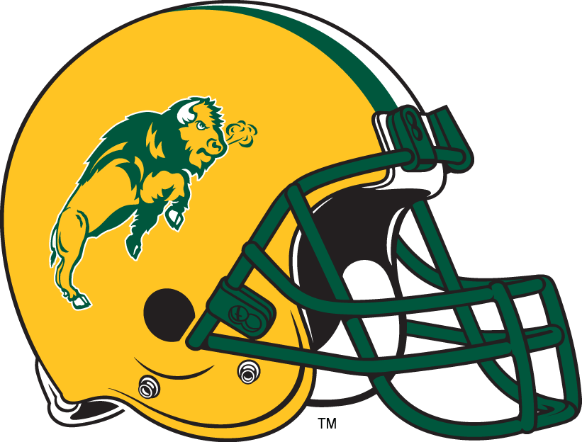 North Dakota State Bison 2000-2011 Helmet iron on paper